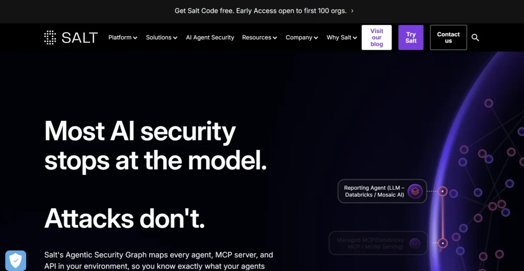Screenshot of Salt Security Home page.