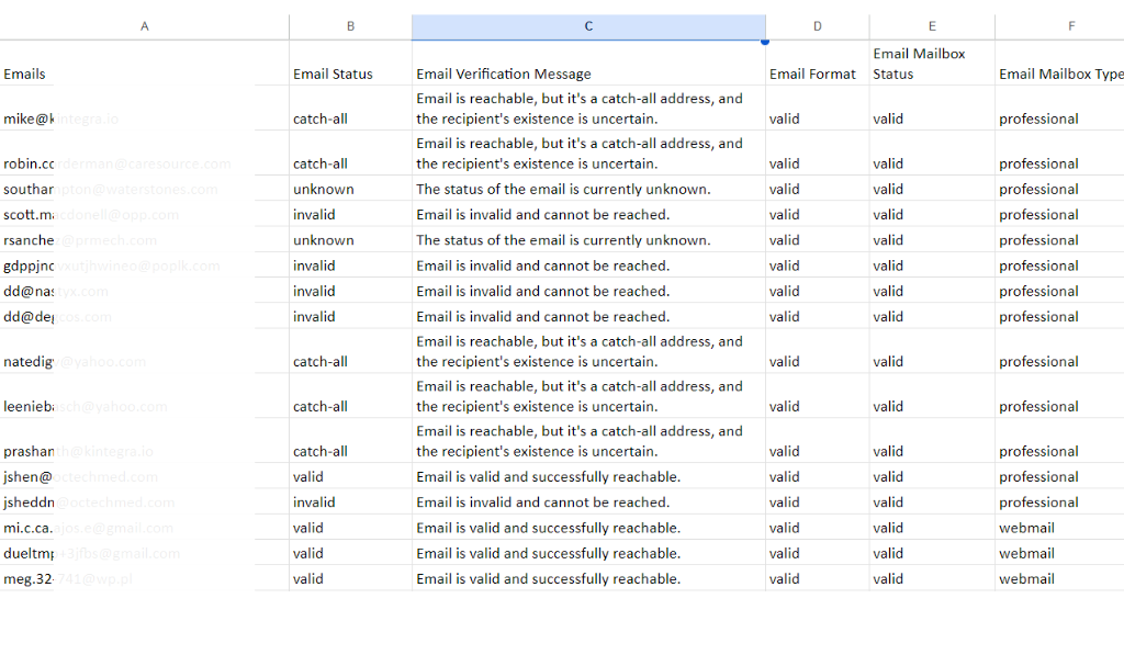 Skrapp spreadsheet showing email statuses and verification messages.