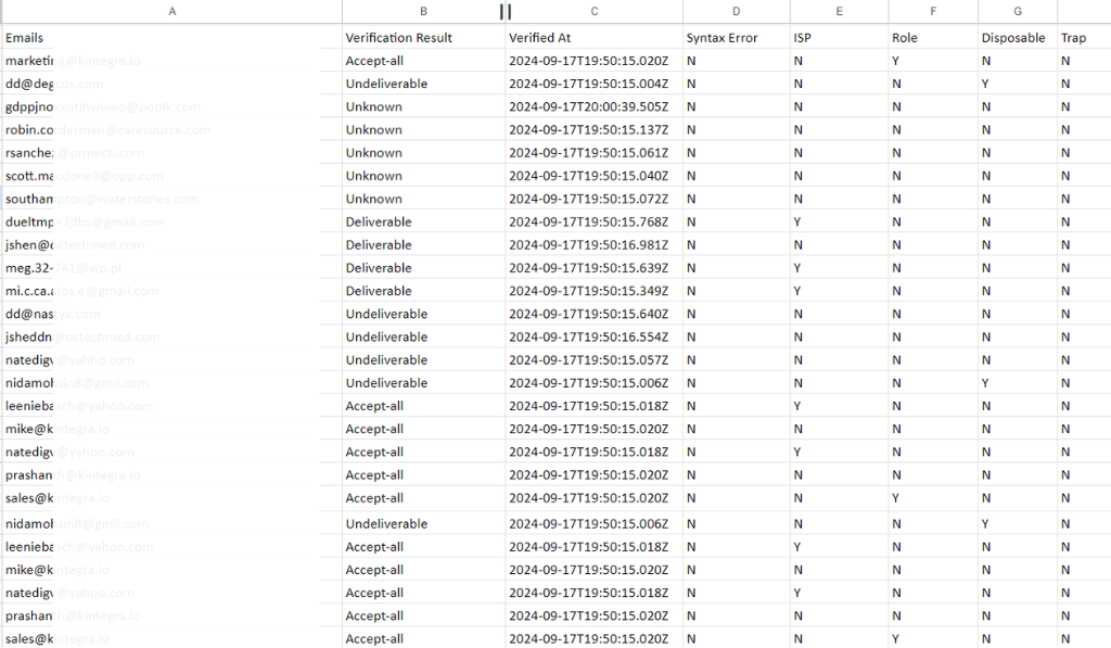 ValidTo results spreadsheet detailing email verification classifications