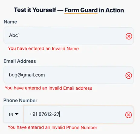 Clearout Form Guard real-time form validation results.